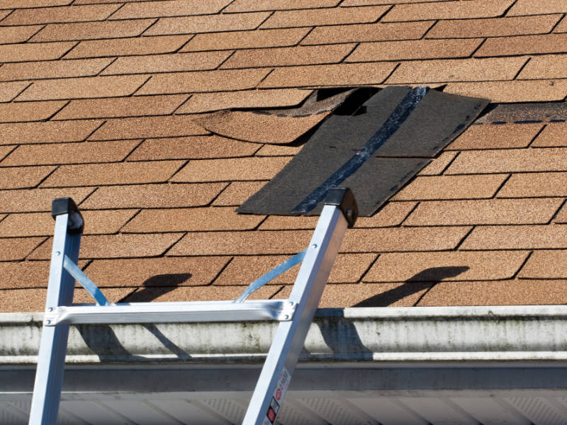Roof Repairs