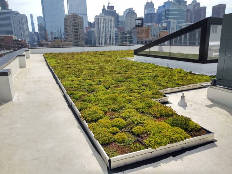 Rooftop garden
